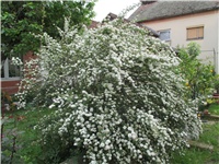 c8d142bf-Picture 030.jpg
